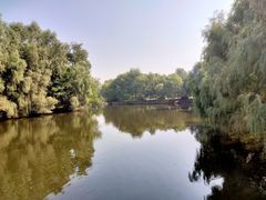 -长白岛森林公园