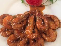 -优护优家Ucare月嫂育儿嫂陪伴师(静安店)