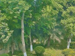 -府河摄影公园