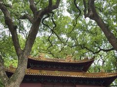 -普陀山风景名胜区-法雨禅寺