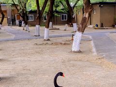 -蓝地时尚庄园(北京清河营地铁站店)