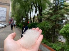 -西宁市东关清真大寺