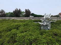 -北海金海湾红树林生态旅游区