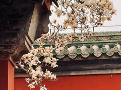 -天坛公园