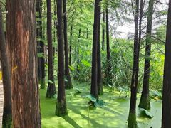 -云龙湖旅游景区