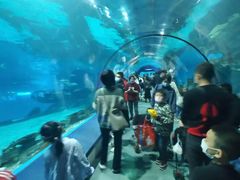 -福州罗源湾海洋世界旅游区