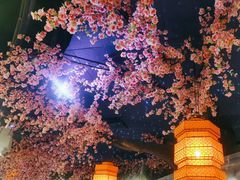 -荷塘秋月·本帮江浙菜(国权路店)