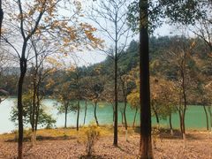 -广州白江湖森林公园