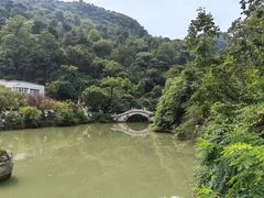 -黔灵山公园