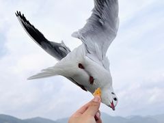 -海埂大坝
