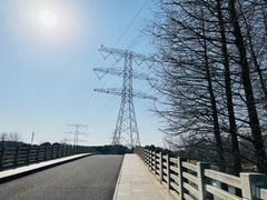 -九里河湿地公园