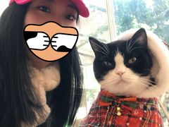 -猫咪派对(江南西店)