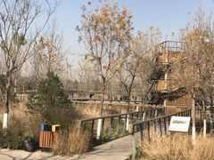 -东郊湿地公园