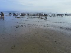 -螺州海滨公园
