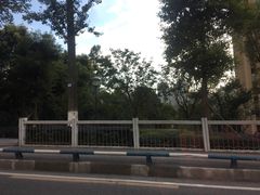 -龙头寺公园