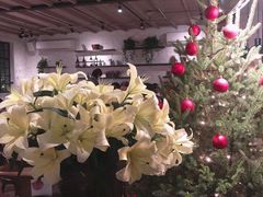 -Apollo·西班牙小酒馆(安福路店)