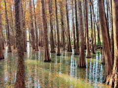 -星湖旅游景区七星岩