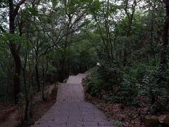 -紫金山山顶公园