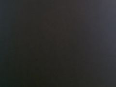 -千岛湖希尔顿休闲艇俱乐部