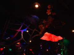 -醉小酒馆·川菜·江湖菜·重庆菜(观音桥旗舰店)