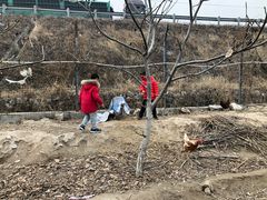 -兴芮温泉度假区