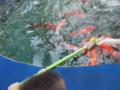 -喷泉广场餐厅·宵夜·海鲜烧烤大排档(长隆企鹅酒店)