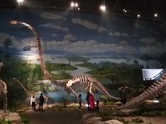 -自贡恐龙博物馆