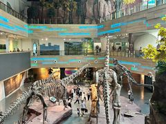 -安徽省地质博物馆