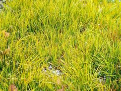 -共青国家森林公园-售票处