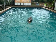 -太阳岛度假酒店