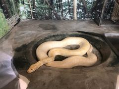 -上方山森林动物世界