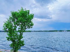 -丁香湖公园