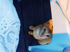 -仙本那渔人码头餐厅
