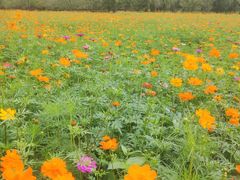 -贵阳市花溪国家城市湿地公园