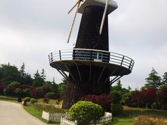 -上海鲜花港