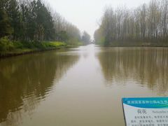 -合肥滨湖国家森林公园