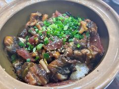 -红星光发煲仔饭(文海店)