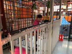 -嗨翻Hi-Fun竞技主题乐园·蹦床团建生日聚会(五棵松华熙店)