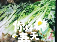 芹菜-何庄子阿米玛玛农产品批发市场