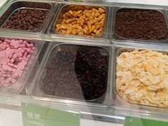 -Salud撒露欧洲冻酸奶(蓝色港湾店)