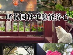 -檀园