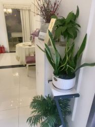 -香秀空间科技抗衰·美容中心