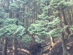 -含鄱口