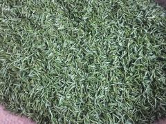 -欣怡茶庄·始于1999(梅家坞店)