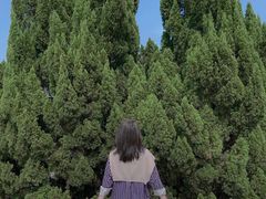 -南沙蒲洲花园