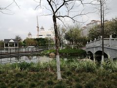 -映月湖公园