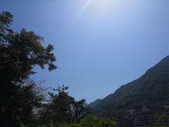 -广州市流溪河国家森林公园