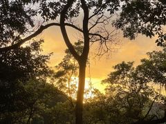 -梧桐山风景名胜区