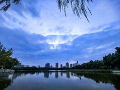 -莲花池公园