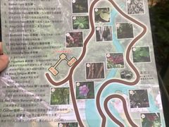 -热带雨林自然公园